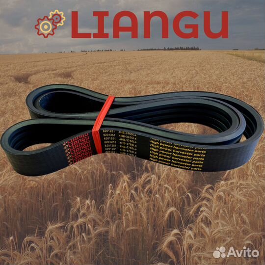 6201251 Ремень Liangu для Рсм