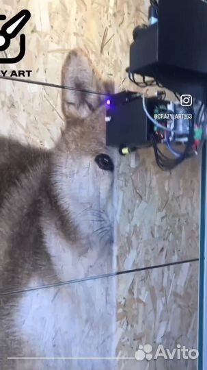 Оформление помещений, вертикальная печать