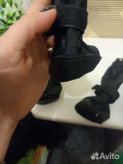 Сапожки для собаки