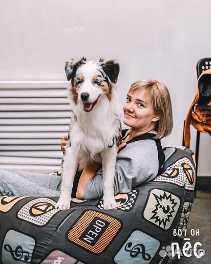 Кинолог. Выездное индивидуальное занятие