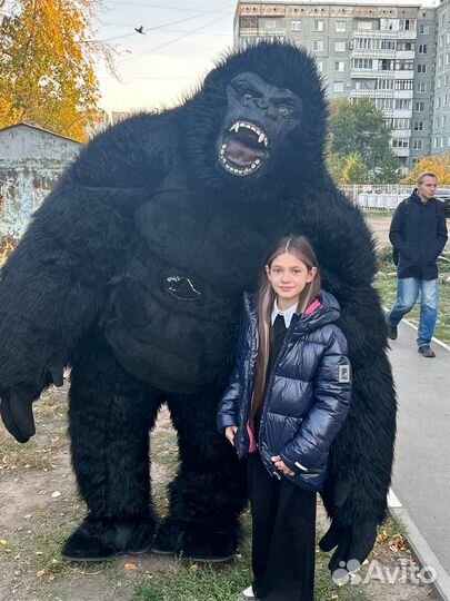 Белый мишка Чебурашка кинг конг поздравление