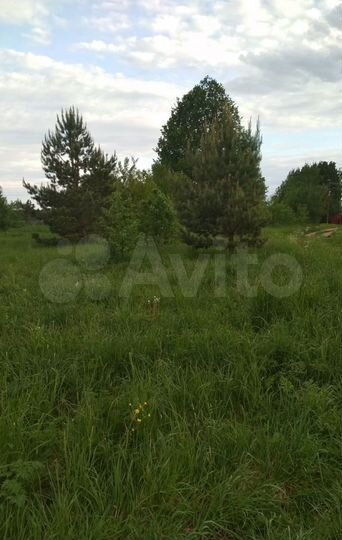 Участок 16,4 сот. (ИЖС)