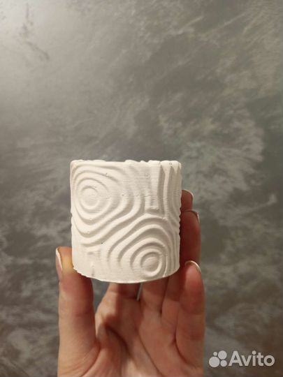 Суккуленты