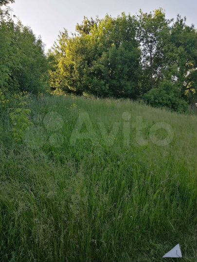 Участок 50 сот. (ИЖС)