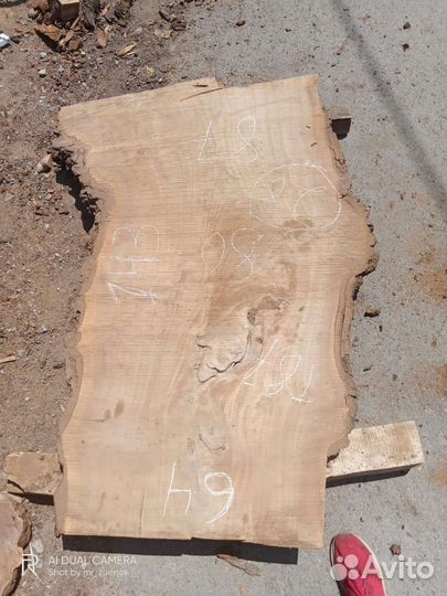 Слэб дерева Каповый карагач