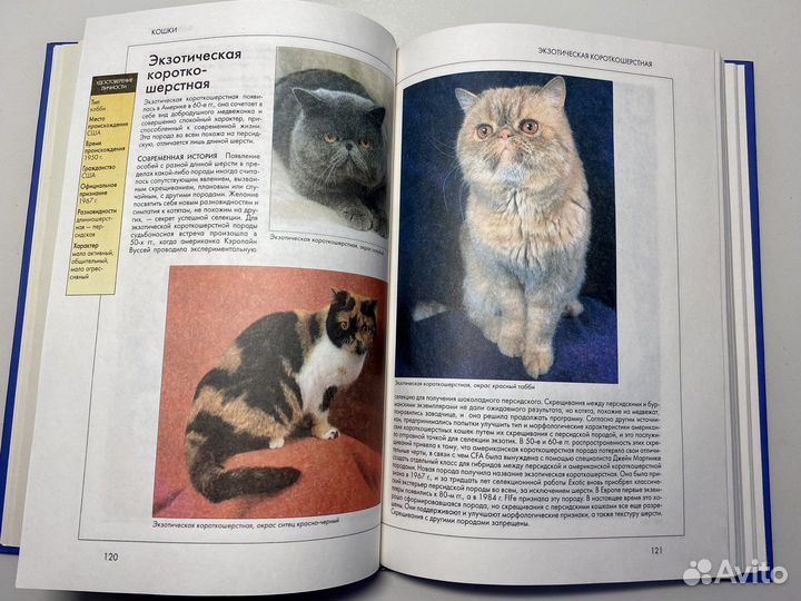 Справочник кошки