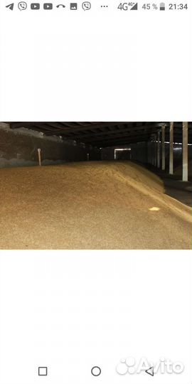 Зерно Пшеница, ячмень