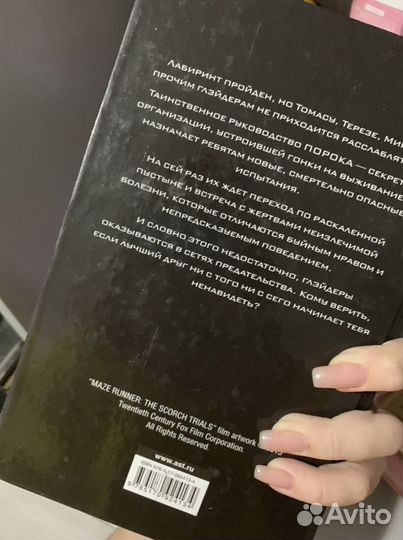 Книга бегущий в лабиринте