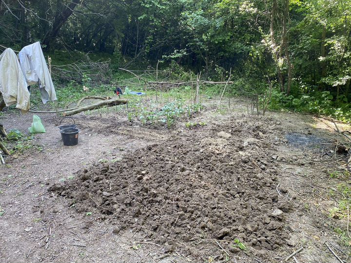 Участок 6 сот. (СНТ, ДНП)