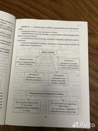 Справочник школьника 6-11 класс