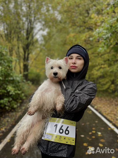 Зоопсихолог/ Кинолог/ Ветеринария