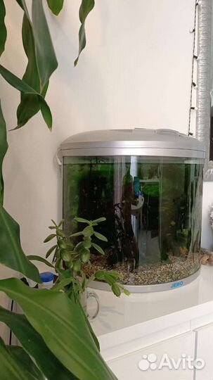 Аквариум с рыбками, насосом и пр