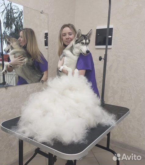 Груминг / стрижка собак и кошек