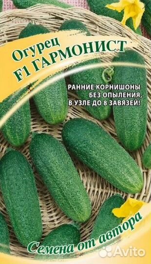 Огурцы-партенокарпики - 16 сортов по 10 семян