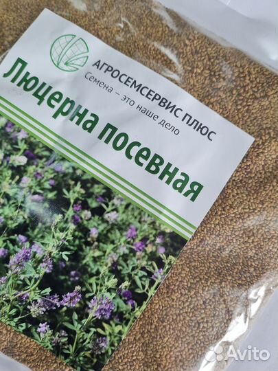 Семена люцерны