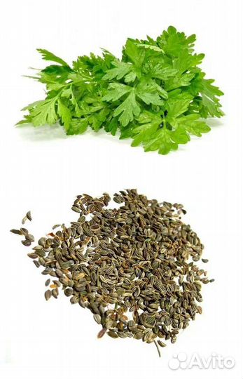 Семена СССР 22г не F1 овощи зелень