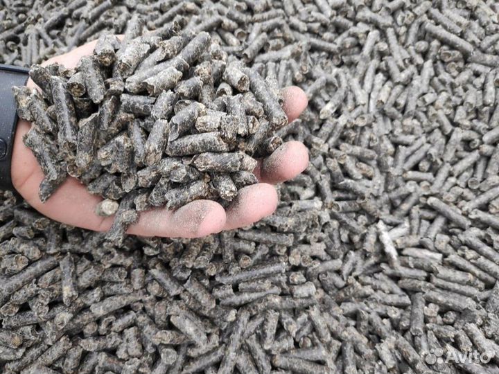 Жом свекловичный