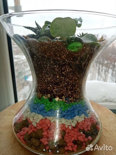 Флорариумы сухие аквариумы