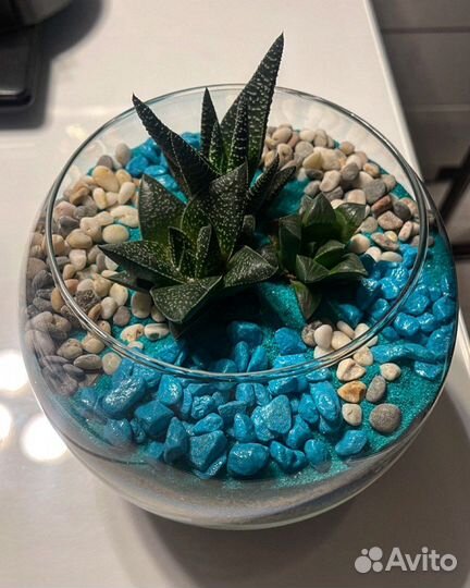 Готовые Наборы для создания флорариума