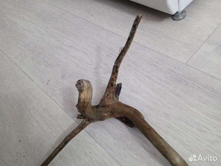 Коряги для аквариума