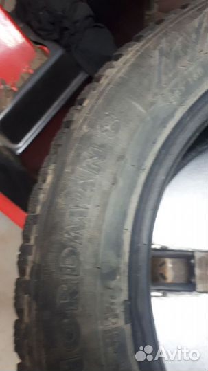 Nokian Tyres Nordman 8 205/55 R16 81T