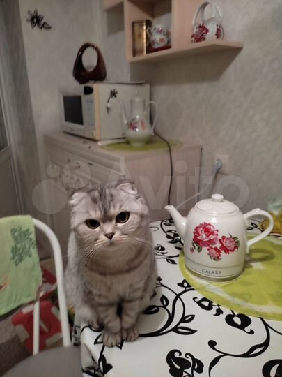 1-к. квартира, 35 м², 1/5 эт.