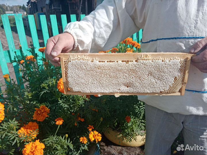 Мед цветочный