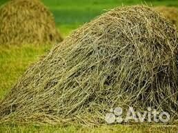 Сено луговое