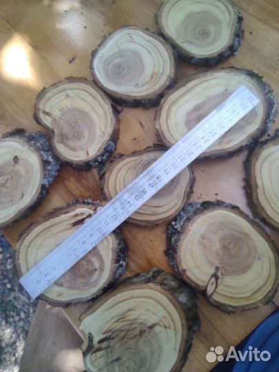 Спил дерева облепиха яблоня слива