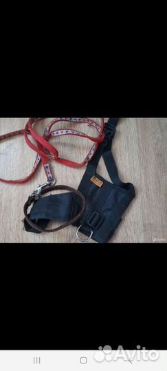 Поводки/ошейники/дождевик