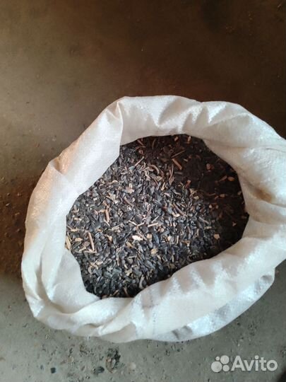 Семечки подсолнечника для птиц