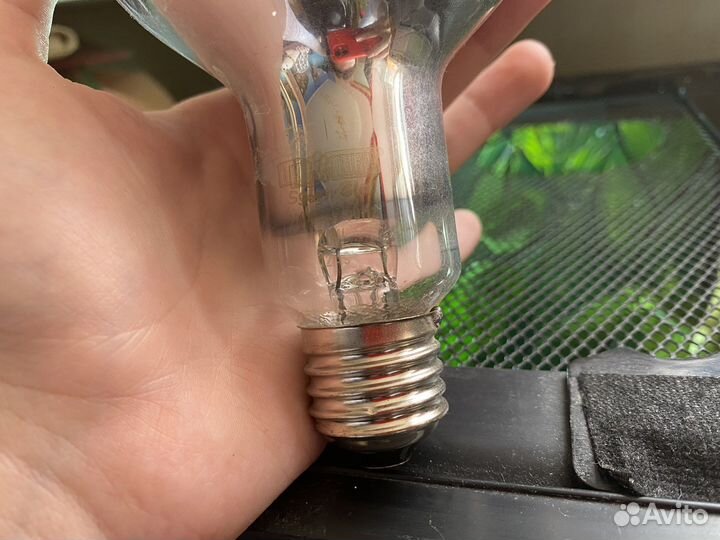 Террариум для рептилий