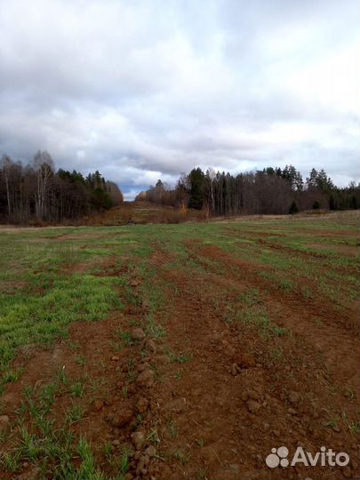 Разработка проектов рекультивации земель в Москве