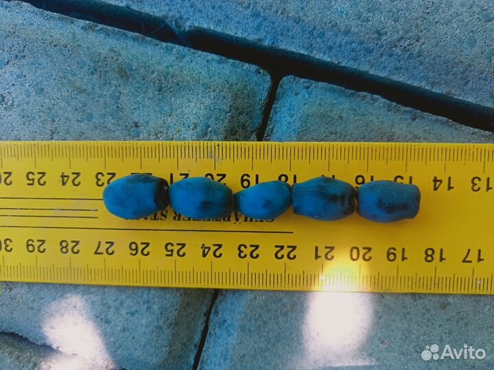 Жимолость съедобная