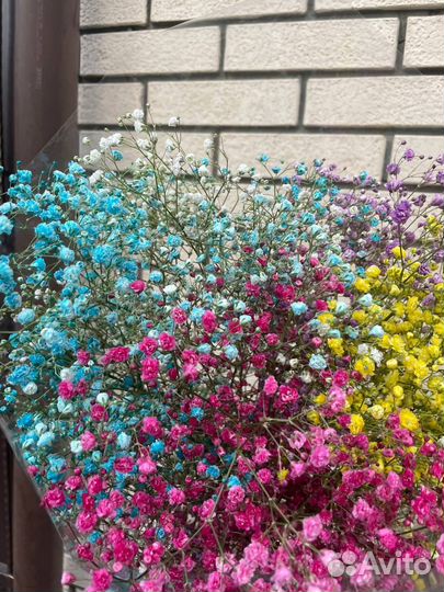 Гипсофила букет цветы