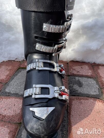 Горнолыжные ботинки dalbello