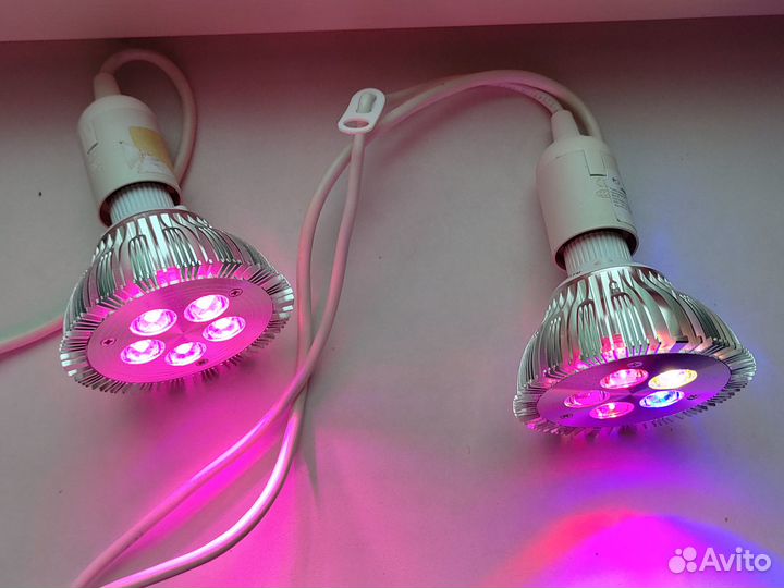 Фитолампа минифермер