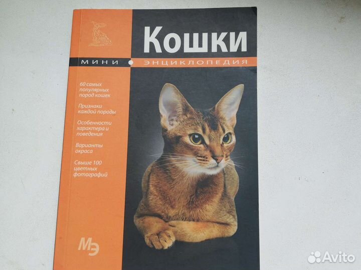 Книга, Кошки