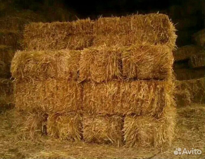 Солома в тюках в Дмитрове