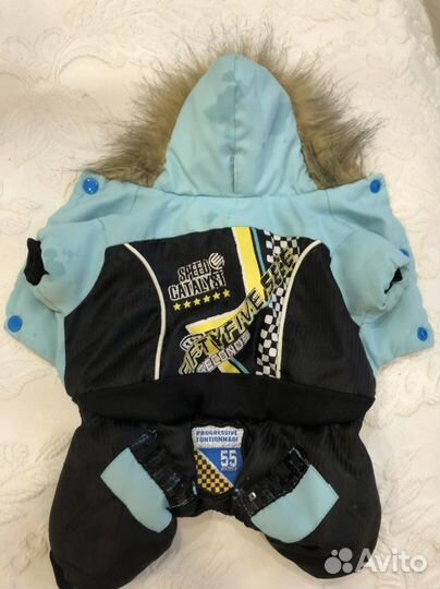 Одежда для собак