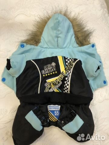 Одежда для собак