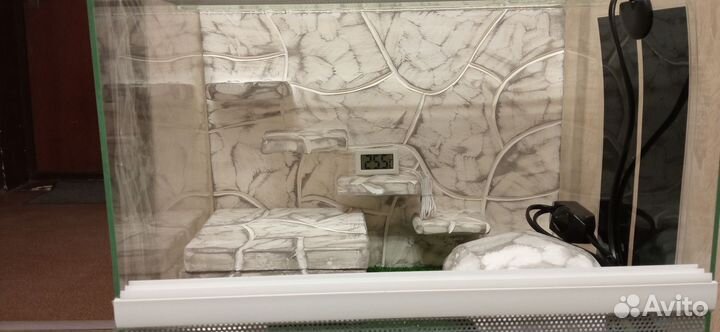 Оформление террариума 