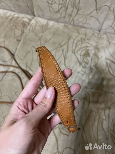 Ринговка для собак