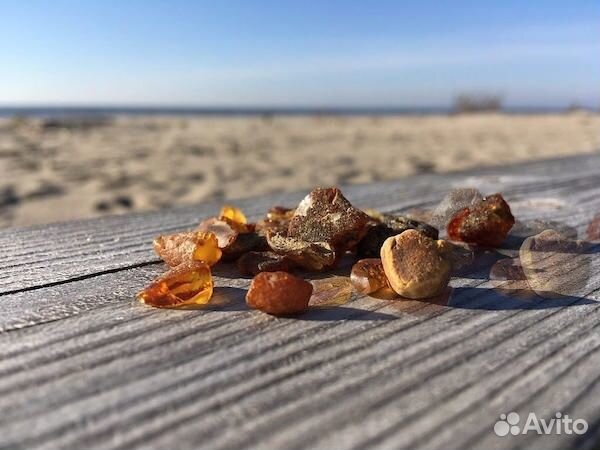 Экскурсия: Балтийск,Янтарный,Светлогорск