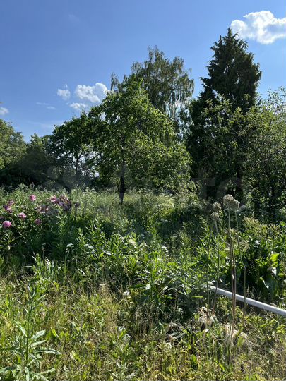 Участок 10 сот. (ИЖС)