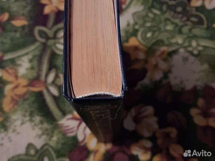 Большой толкователь снов. Степанова