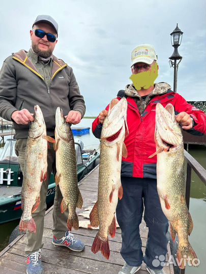 Рыбалка в Ростовской обл(Маныч) 