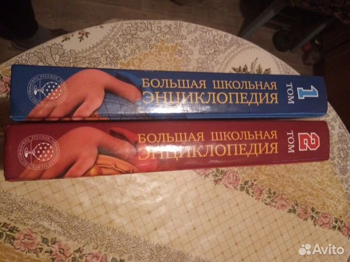 Большая школьная энциклопедия в 2 томах