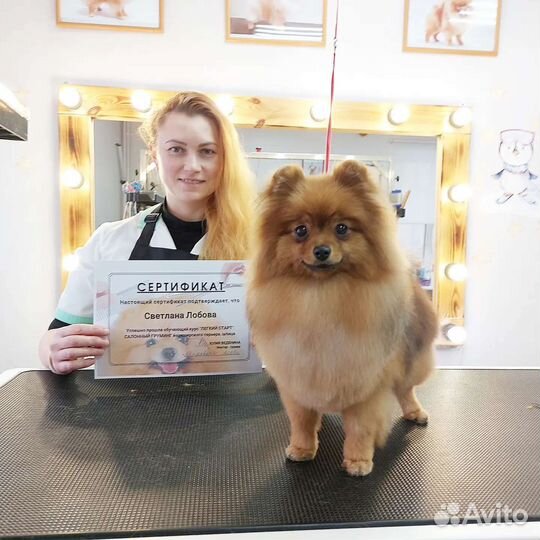 Обучение грумингу. Мастер-классы