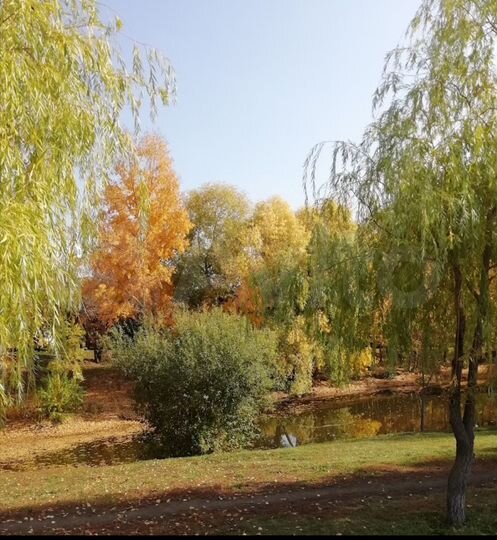 2-к. квартира, 30,6 м², 3/5 эт.